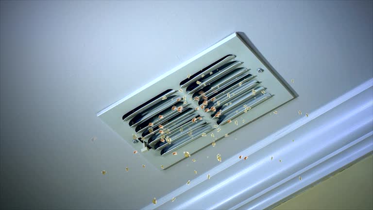 Best Air Duct Cleaning Near Me  in East Milton, FL